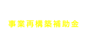 事業再構築補助金の事業計画書はどう書くの 重要ポイントと記入例 事業再構築補助金