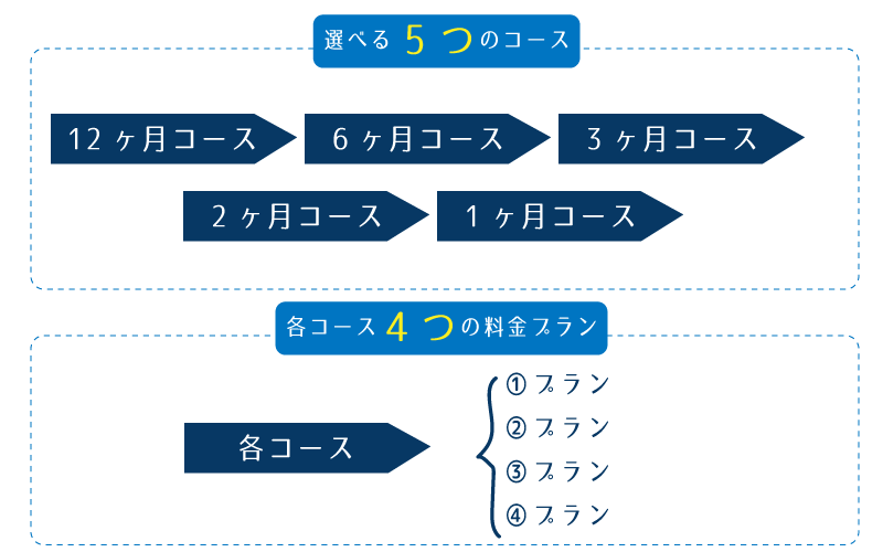 Bisis　コースとプラン